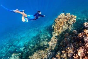 From Dubai: Snorkeling Trip to Dibba Al-Fujairah