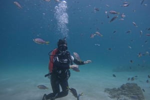 From Dubai: Try Scuba Diving, Snorkeling with BBQ & Transfer