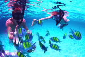 Ze Zjednoczonych Emiratów Arabskich: Musandam Khasab - wycieczka z lunchem i obserwacją delfinów