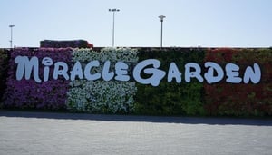 Miracle Garden
