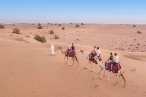 Dubai: Historische Kamel-Wüstensafari mit traditionellem Abendessen