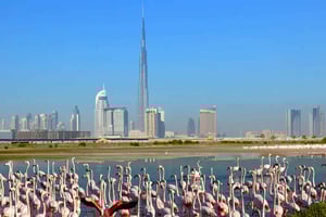 Ras Al Khor Wildlife Sanctuary med byrundvisning i Dubai
