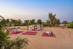 VIP-сафари по пустыне в Дубае: дюны, барбекю и неограниченное количество спиртных напитков