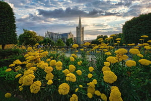 Privat konstrunda i Dublin: från klassiskt till samtida