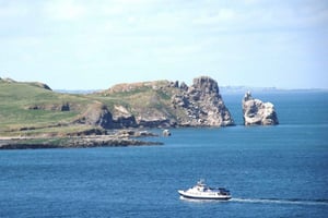 Dublin: Howth Cliffs and Ireland's Eye Boat Cruise