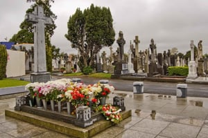Dublin Glasnevinin kansallinen hautausmaa Audio Tour kuljetuksineen