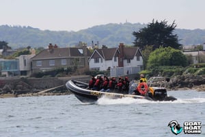 Dublin: History and Wildlife Boat Tour with Live Commentary