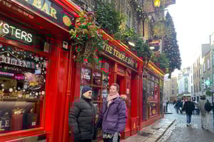 Dublin: Magic Christmas, Myths & Legends Privat guidet tur