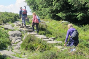 Dublin: Mountains and Megaliths Trek