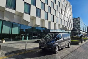 Dublin : Private Sightseeing Tour of Dublin City