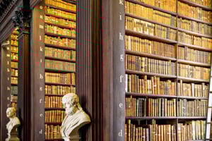 Dublin: Skip-the-line Book of Kells & Old Town Private Tour