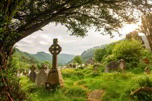 Fra Dublin: 5-dagers rundtur i Irlands sørøstlige del