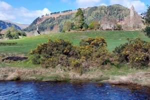 Desde Dublín: Lo mejor de Wicklow Tour privado