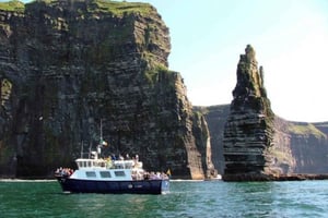 From Dublin: Cliffs of Moher, Bird of Prey & Aillwee Cave