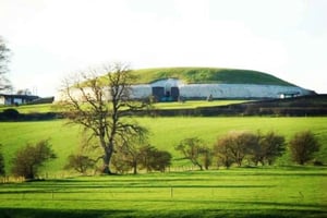 Z Dublina: Newgrange, zamek Trim i wzgórze Tara