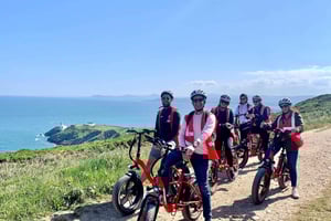 Dublin: Panorama-E-Bike Tour