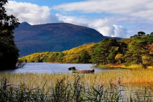 Kerry: Full-Day Tour from Dublin