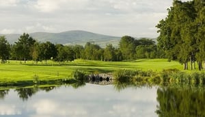 Luttrellstown Castle