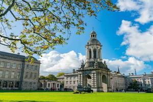 Private Dublin Tour mit Trinity College & Old Library