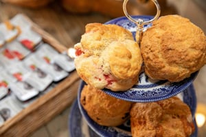 Dublin: Führung durch die Skerries Mills