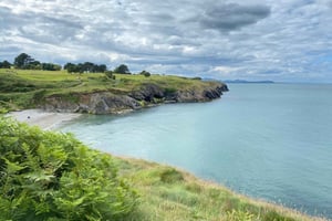 Wicklow: Passeggiata guidata sulla scogliera con le foche e tour della città con picnic