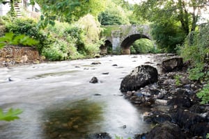 Wicklow Mountainsin puolen päivän junamatka Dublinista