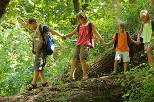 1/2 Päivän retki Drakensbergin vuorille ja patikointi Durbanista käsin