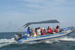 Durban: 1-Hour Boat Cruise from Wilson's Wharf