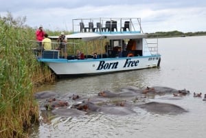 Durban: DumaZulu Cultural Village & Boat Safari Day Trip: DumaZulu Cultural Village & Boat Safari Day Trip