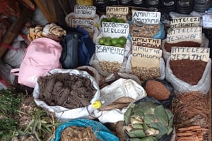 Durban : Marchés locaux et culture : visite guidée à pied