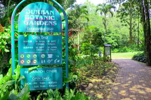 ダーバン：市内の見どころを巡る半日ガイドツアーをご案内します