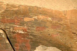 ダーバン発：ドラケンスバーグ山脈とハウイク滝ツアー