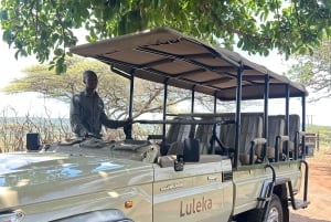 Au départ de Durban : Découvrez deux réserves de gibier Big 5 en une journée