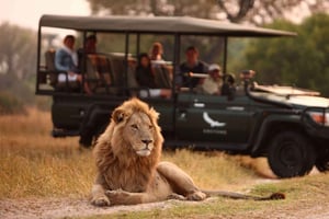 Half-day Tala Game Reserve & Natal Park Safari from Durban