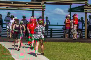 St Lucia: iSimangaliso Wetland Park: Heldagstur/halvdagsutflukt