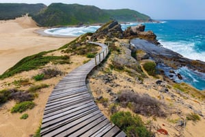 ケープタウン発 4 日間の小グループ ガーデン ルート ツアー