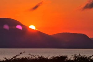 Tour del Parco Nazionale degli Elefanti di Addo con tour in battello