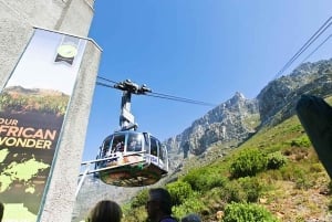 Cape Town: Taffelberget, pingviner og Kapp det Gode Håp-tur