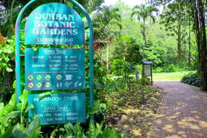 Durban: Byens høydepunkter på en halvdagstur med guide