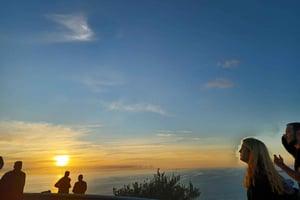 Private Cape of Good Hope Guided Tour