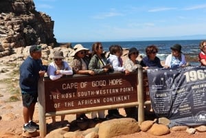 Fra Cape Town: Heldagstur til Cape Point og Boulders Beach