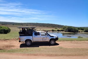 Full Day Schotia & Giraffe Walk (open vehicle)