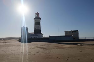 Gqeberha : combinaison parc national Addo Elephant et visite de la côte