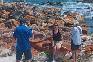 Gqeberha: City Highlights Car and Walking Tour