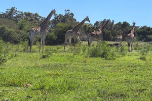 クラガ・カマ・ゲームパーク 4x4