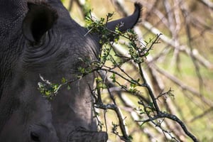 クラガ カマ ゲーム パーク