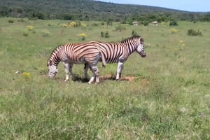 Kragga Kamma Safarit ja rantaretket