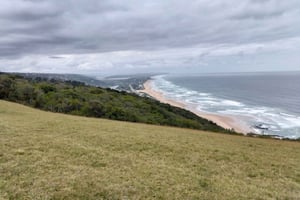 Port Elizabeth: 11-Day Safari & Culture Tour to Joburg