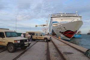 Port Elizabeth: Ausflug zur malerischen Küstenstraße