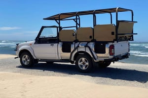 Schotia: Avoin safarijeep – aamu- tai iltapäiväretki